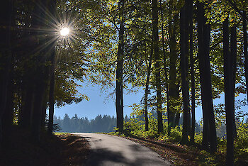 Der goldene Herbst steht vor der Tür